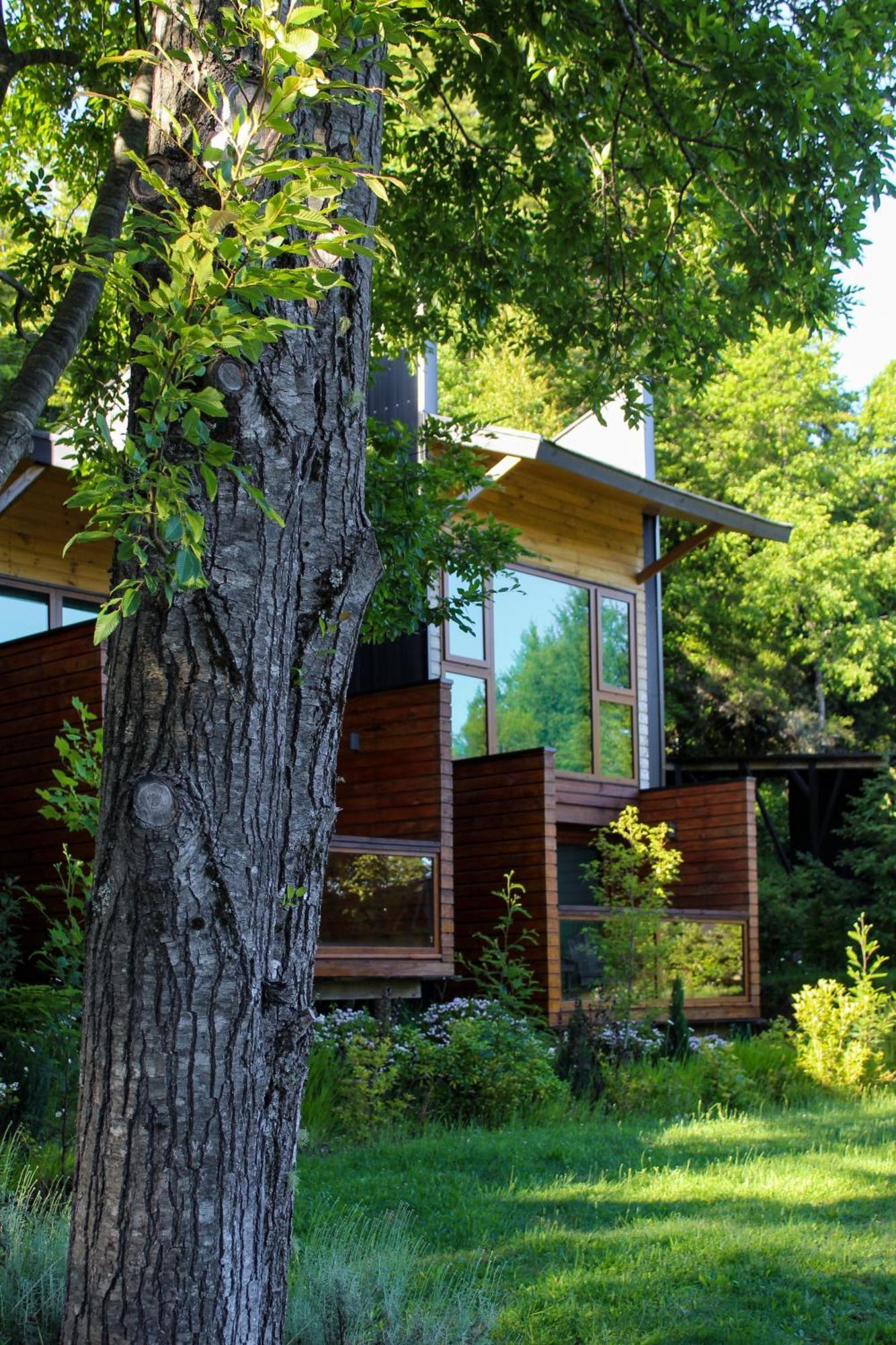 NI-NEWEN Lodge Pucón Buitenkant foto
