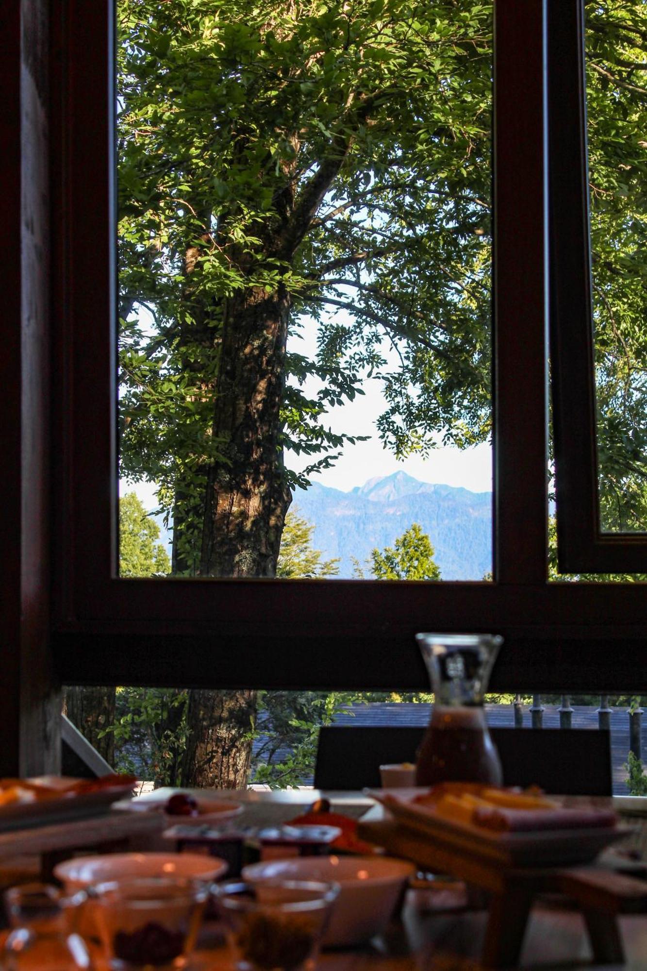 NI-NEWEN Lodge Pucón Buitenkant foto